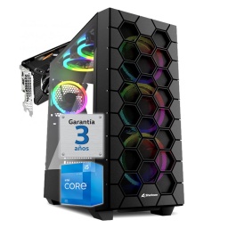 PC Gamer Intel Core i5 13400f Video Rtx 3060 12Gb Ram 32Gb Ddr4 Ssd Nvme 1Tb Dp Hdmi Wifi Bt Windows 11 64bit